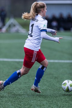 Bild 77 - wBJ HSV - F VfL Jesteburg : Ergebnis: 6:1